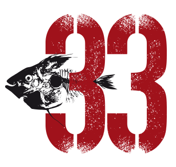 Logo Skur 33